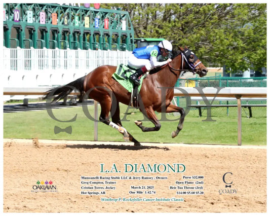 L.A. DIAMOND - 03-21-25 - R05 - OP - Action Oaklawn Park
