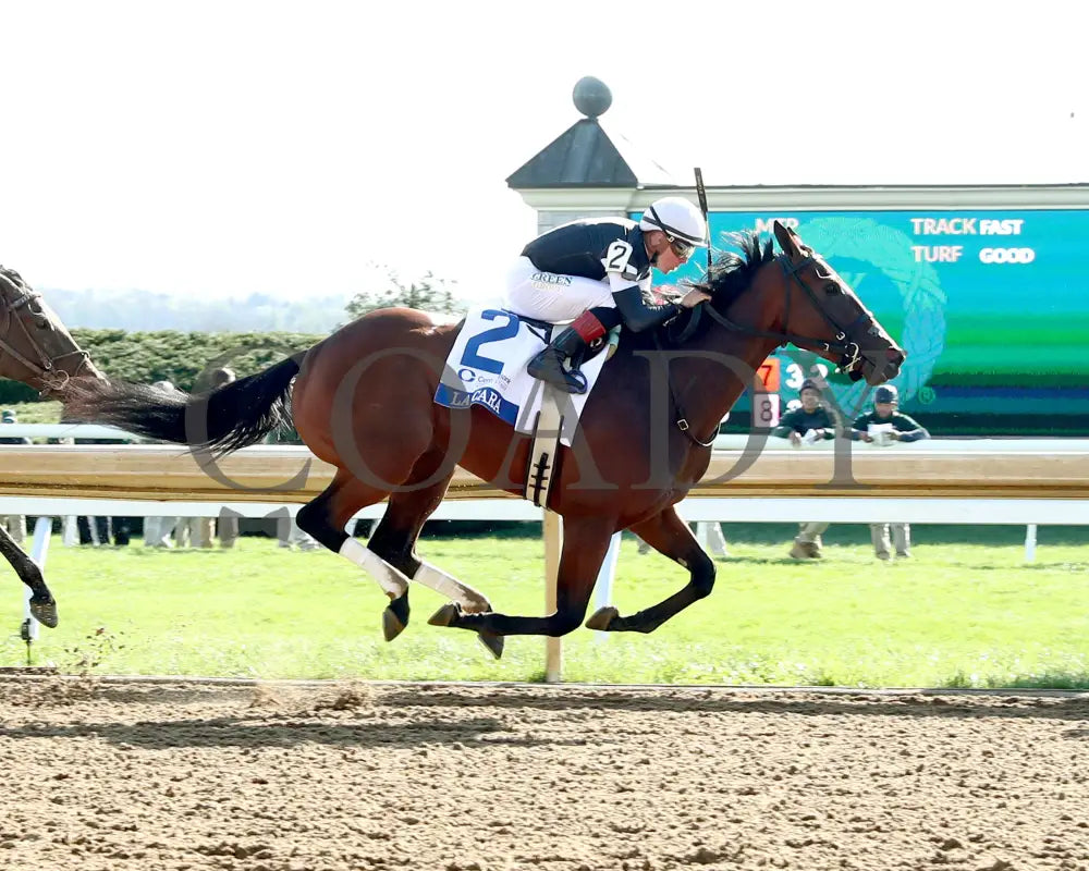 LA CARA - The Central Bank Ashland - 04-07-25 - R09 - KEE - Finish 01 Keeneland