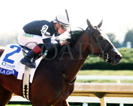 LA CARA - The Central Bank Ashland - 04-07-25 - R09 - KEE - Finish 03 Keeneland