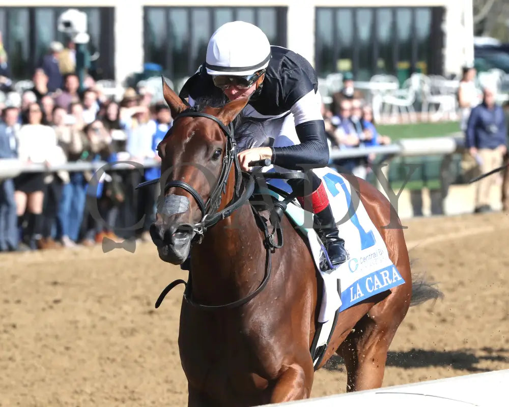 LA CARA - The Central Bank Ashland - 04-07-25 - R09 - KEE - Inside Finish 01 Keeneland