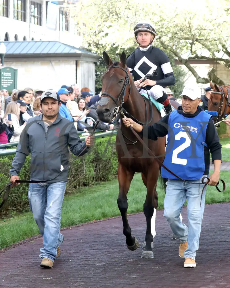 LA CARA - The Central Bank Ashland - 04-07-25 - R09 - KEE - Paddock 01 Keeneland