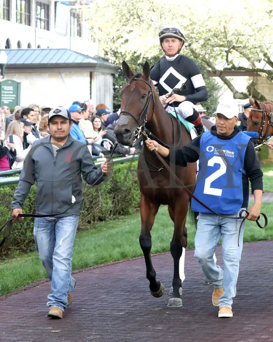 LA CARA - The Central Bank Ashland - 04-07-25 - R09 - KEE - Paddock 01 Keeneland