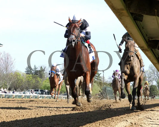 LA CARA - The Central Bank Ashland - 04-07-25 - R09 - KEE - Under Rail 01 Keeneland