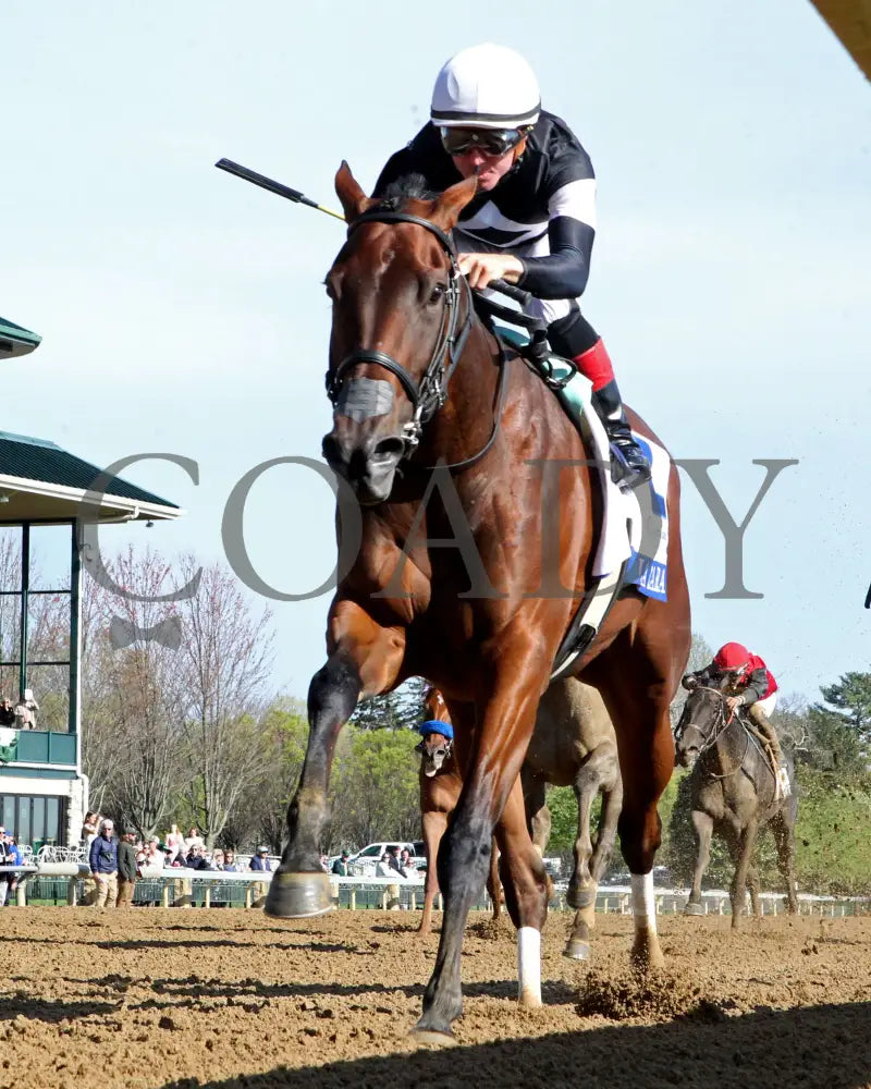 LA CARA - The Central Bank Ashland - 04-07-25 - R09 - KEE - Under Rail 02 Keeneland