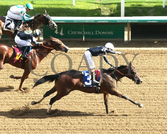La Cara - The Pocahontas G2 56Th Running 09-14-24 R08 Cd Aerial Finish 01 Churchill Downs