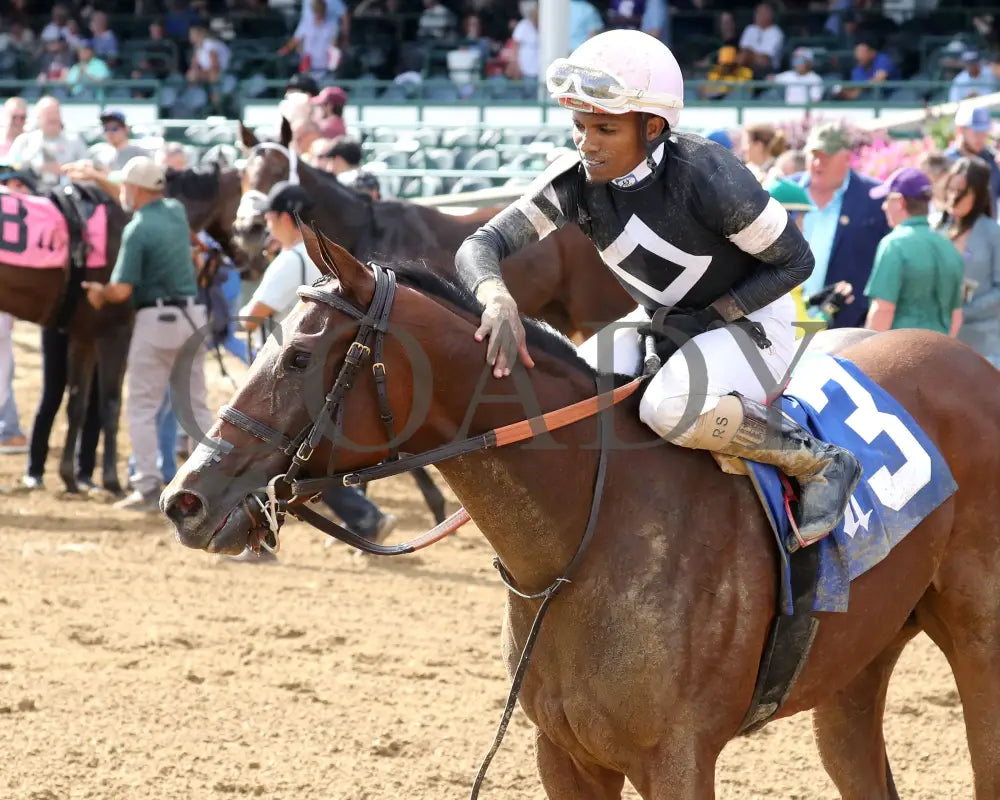 La Cara - The Pocahontas G2 56Th Running 09-14-24 R08 Cd Come Back 01 Churchill Downs