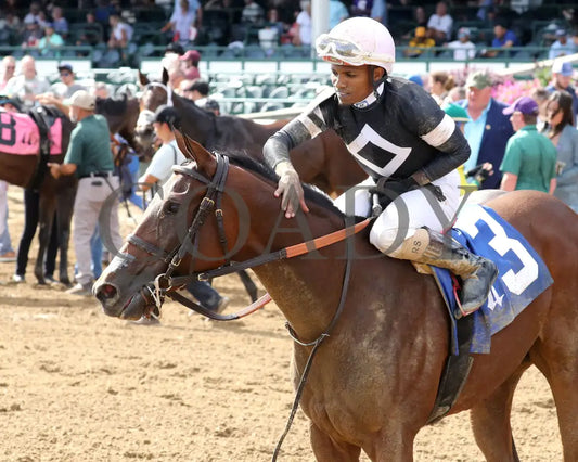 La Cara - The Pocahontas G2 56Th Running 09-14-24 R08 Cd Come Back 01 Churchill Downs