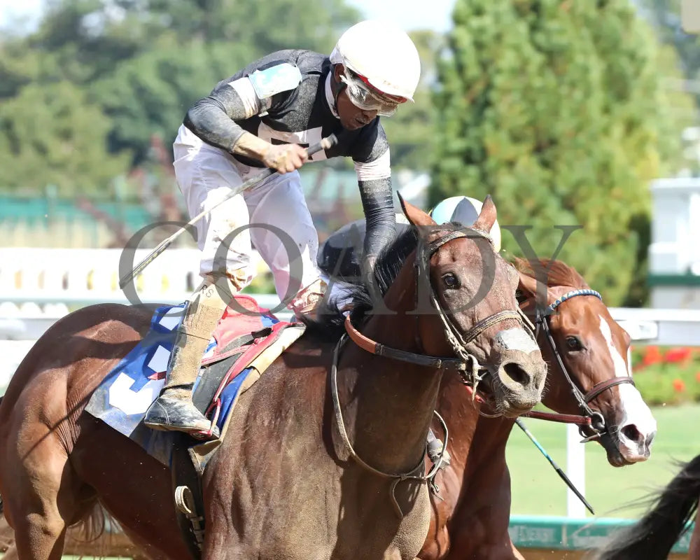 La Cara - The Pocahontas G2 56Th Running 09-14-24 R08 Cd Finish 03 Churchill Downs