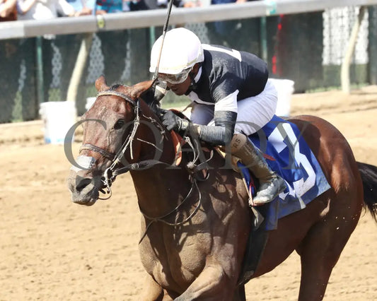 La Cara - The Pocahontas G2 56Th Running 09-14-24 R08 Cd Inside Finish 02 Churchill Downs