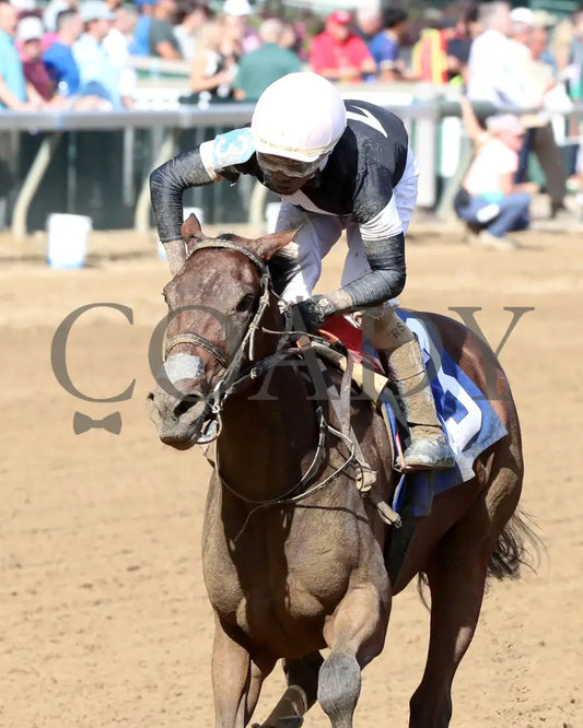 La Cara - The Pocahontas G2 56Th Running 09-14-24 R08 Cd Inside Finish 03 Churchill Downs