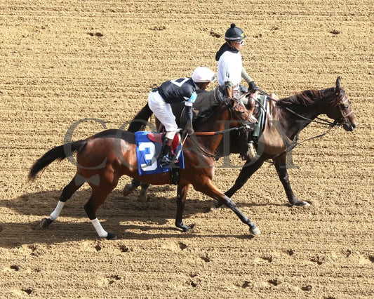 La Cara - The Pocahontas G2 56Th Running 09-14-24 R08 Cd Post Parade 01 Churchill Downs