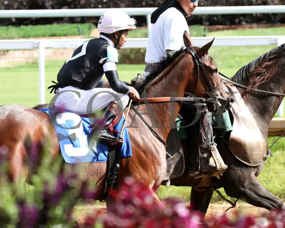 La Cara - The Pocahontas G2 56Th Running 09-14-24 R08 Cd Post Parade 02 Churchill Downs