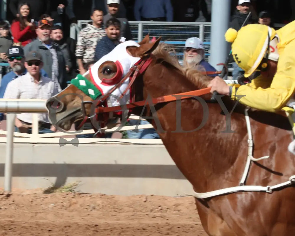 La Nanas - James Isaac Hobbs Stakes 12-15-24 R03 Zia Park Inside Finish
