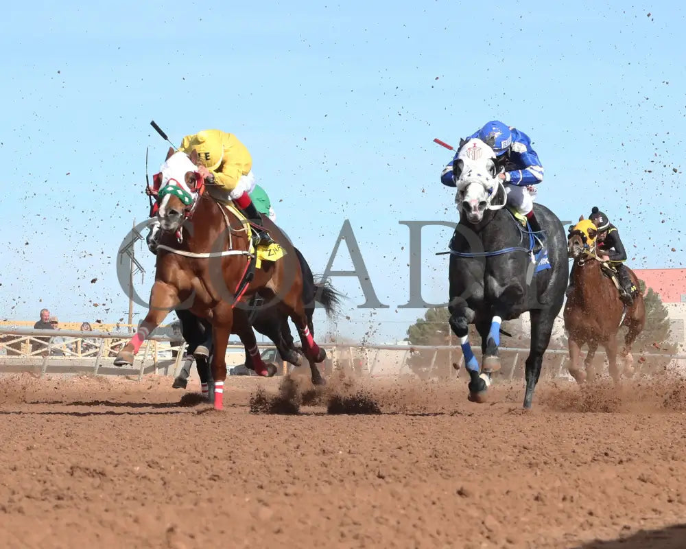 La Nanas - James Isaac Hobbs Stakes 12-15-24 R03 Zia Park Under Rail
