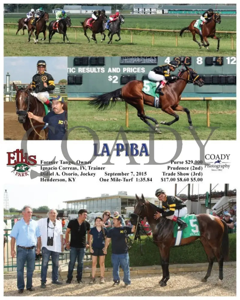 La Piba - 090715 Race 06 Elp Ellis Park