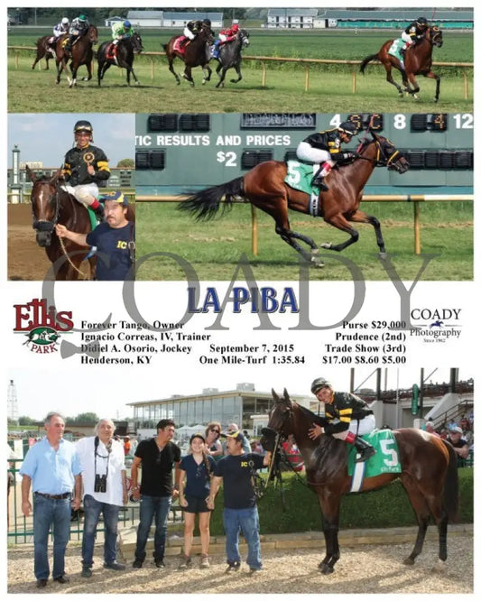 La Piba - 090715 Race 06 Elp Ellis Park