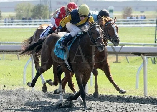 Lady Citron - 2 102211 Race 02 Keeneland
