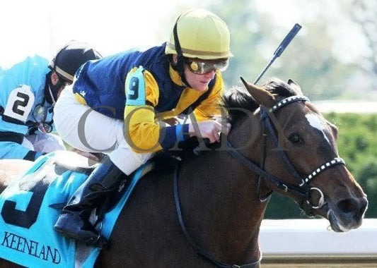 Lady Citron - 3 102211 Race 02 Keeneland