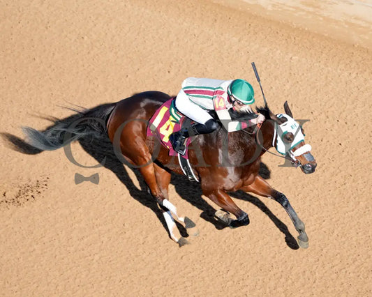 Lady Moscato - The Buglar Overnight Stakes 01-25-25 R08 Op Aerial Finish 01 Oaklawn Park