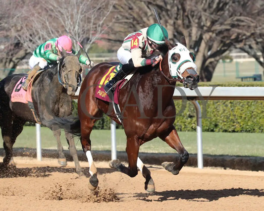 Lady Moscato - The Buglar Overnight Stakes 01-25-25 R08 Op Finish 02 Oaklawn Park