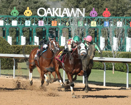 Lady Moscato - The Buglar Overnight Stakes 01-25-25 R08 Op Finish 03 Oaklawn Park