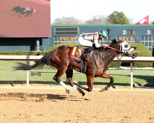 Lady Moscato - The Buglar Overnight Stakes 01-25-25 R08 Op Finish 01 Oaklawn Park