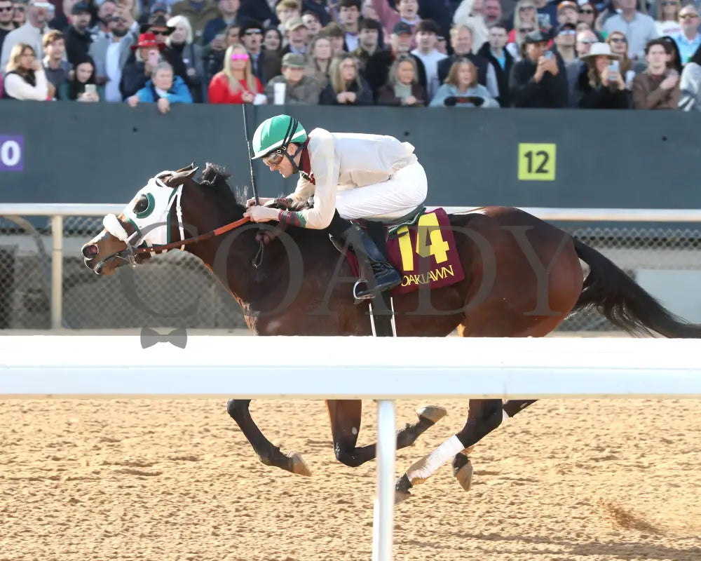 Lady Moscato - The Buglar Overnight Stakes 01-25-25 R08 Op Inside Finish 01 Oaklawn Park