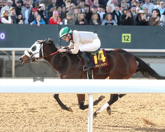 Lady Moscato - The Buglar Overnight Stakes 01-25-25 R08 Op Inside Finish 01 Oaklawn Park