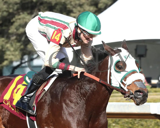 Lady Moscato - The Buglar Overnight Stakes 01-25-25 R08 Op Tight Finish 01 Oaklawn Park