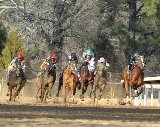 Lady Moscato - The Buglar Overnight Stakes 01-25-25 R08 Op Turn 01 Oaklawn Park