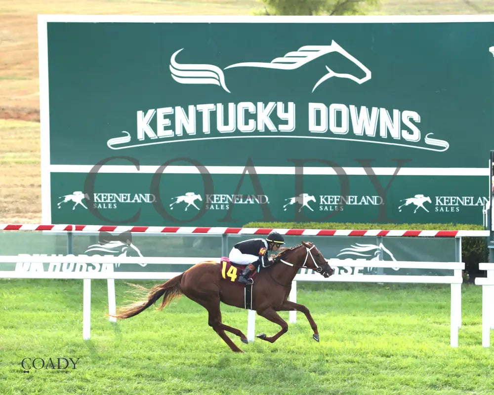 LAGYNOS 082825 Race 10 KD Come Back 01 Aerial Finish 01 Kentucky Downs