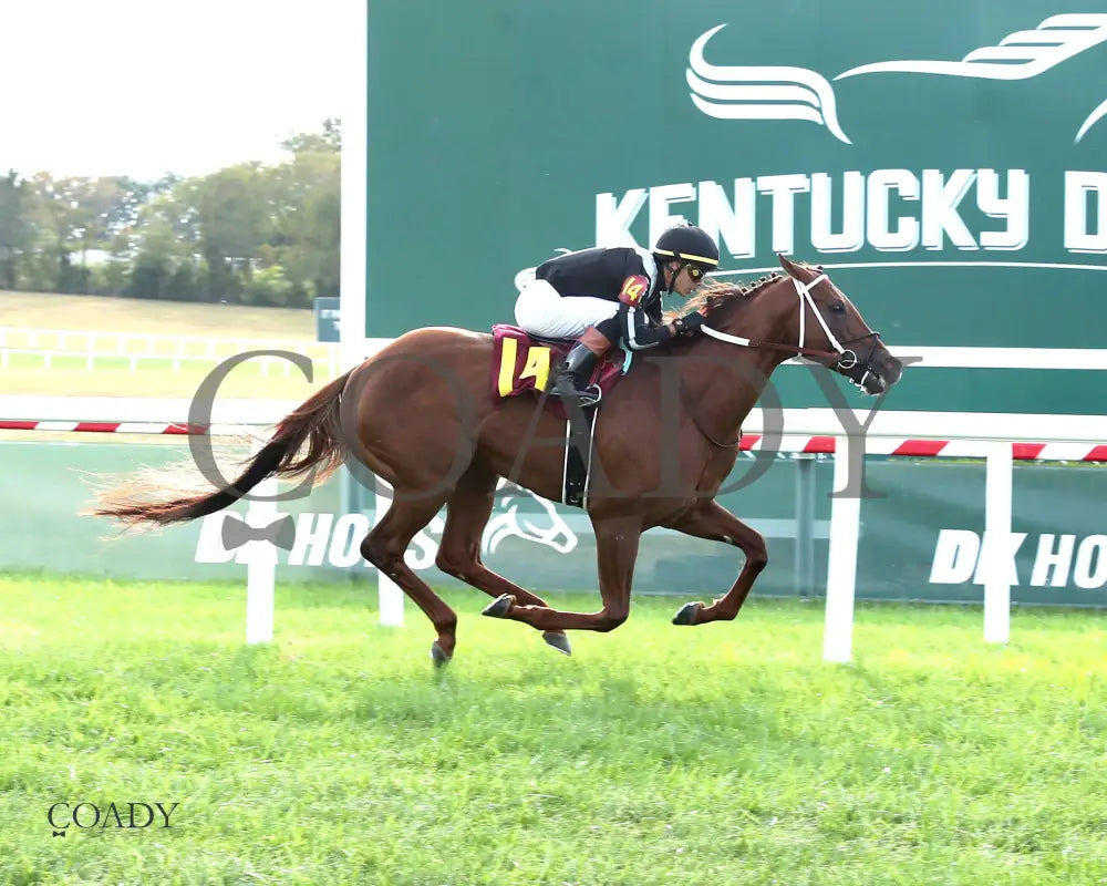 LAGYNOS 082825 Race 10 KD Finish 01 Kentucky Downs