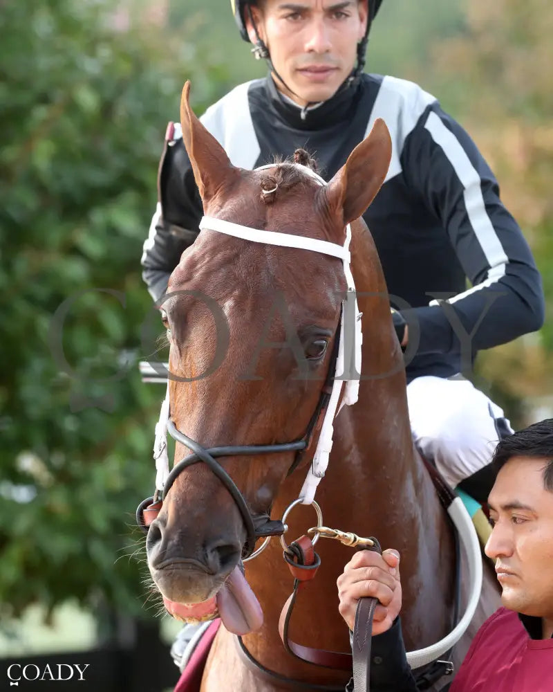 LAGYNOS 082825 Race 10 KD Paddock 02 Kentucky Downs