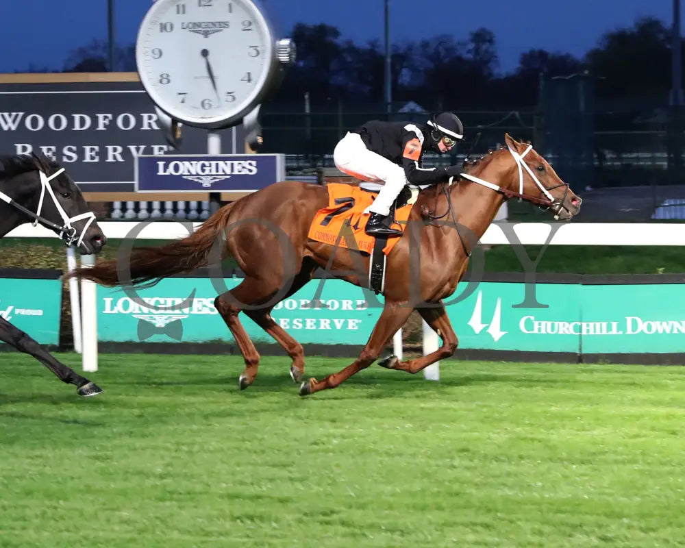 Lagynos - The Commonwealth Turf G3 11-23-24 R10 Cd Finish 01 Churchill Downs