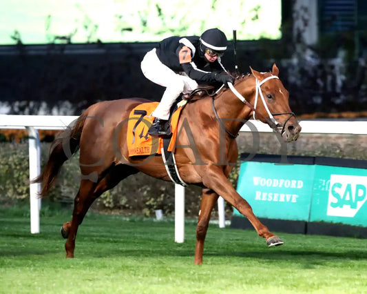 Lagynos - The Commonwealth Turf G3 11-23-24 R10 Cd Finish 02 Churchill Downs