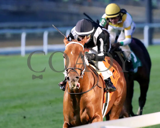 Lagynos - The Commonwealth Turf G3 11-23-24 R10 Cd Inside Finish 01 Churchill Downs