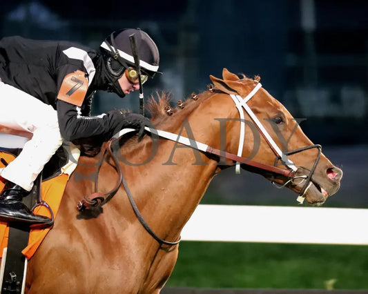 Lagynos - The Commonwealth Turf G3 11-23-24 R10 Cd Tight Finish 01 Churchill Downs