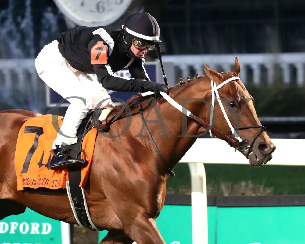 Lagynos - The Commonwealth Turf G3 11-23-24 R10 Cd Tight Finish 02 Churchill Downs