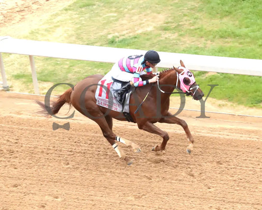 LAMBETH - The Temperence Hill Stakes - 6th Running - 03-28-25 - R10 - OP - Aerial Finish 01 Oaklawn Park