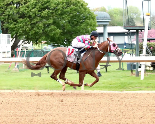 LAMBETH - The Temperence Hill Stakes - 6th Running - 03-28-25 - R10 - OP - Finish 01 Oaklawn Park