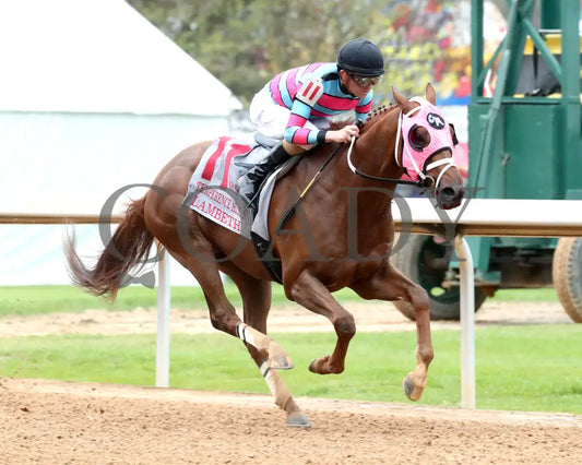 LAMBETH - The Temperence Hill Stakes - 6th Running - 03-28-25 - R10 - OP - Finish 02 Oaklawn Park