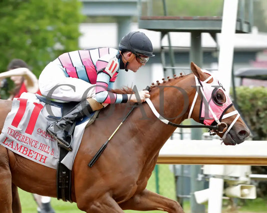 LAMBETH - The Temperence Hill Stakes - 6th Running - 03-28-25 - R10 - OP - Finish 03 Oaklawn Park