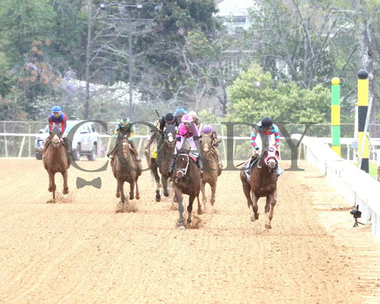 LAMBETH - The Temperence Hill Stakes - 6th Running - 03-28-25 - R10 - OP - Head On 01 Oaklawn Park