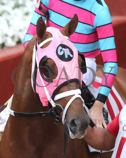 LAMBETH - The Temperence Hill Stakes - 6th Running - 03-28-25 - R10 - OP - Paddock 01 Oaklawn Park