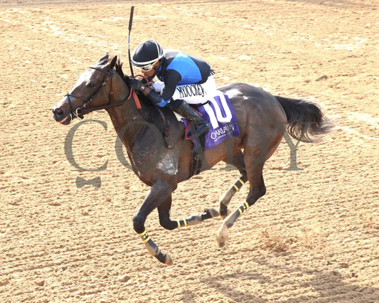 LASSIE MY GIRL - The Natural State Breeders’ Stakes - 04-27-25 - R09 - OP - Inside Finish 01 Oaklawn Park