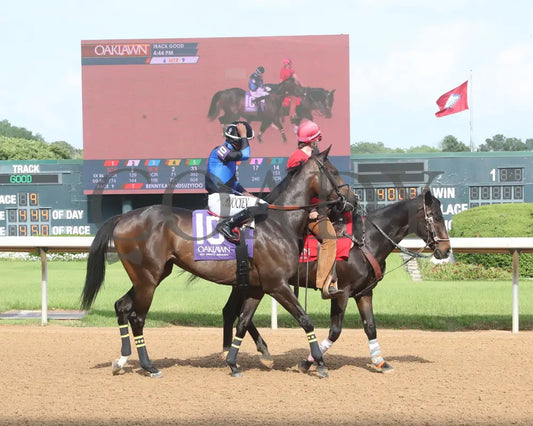 LASSIE MY GIRL - The Natural State Breeders’ Stakes - 04-27-25 - R09 - OP - Post Parade 01 Oaklawn Park