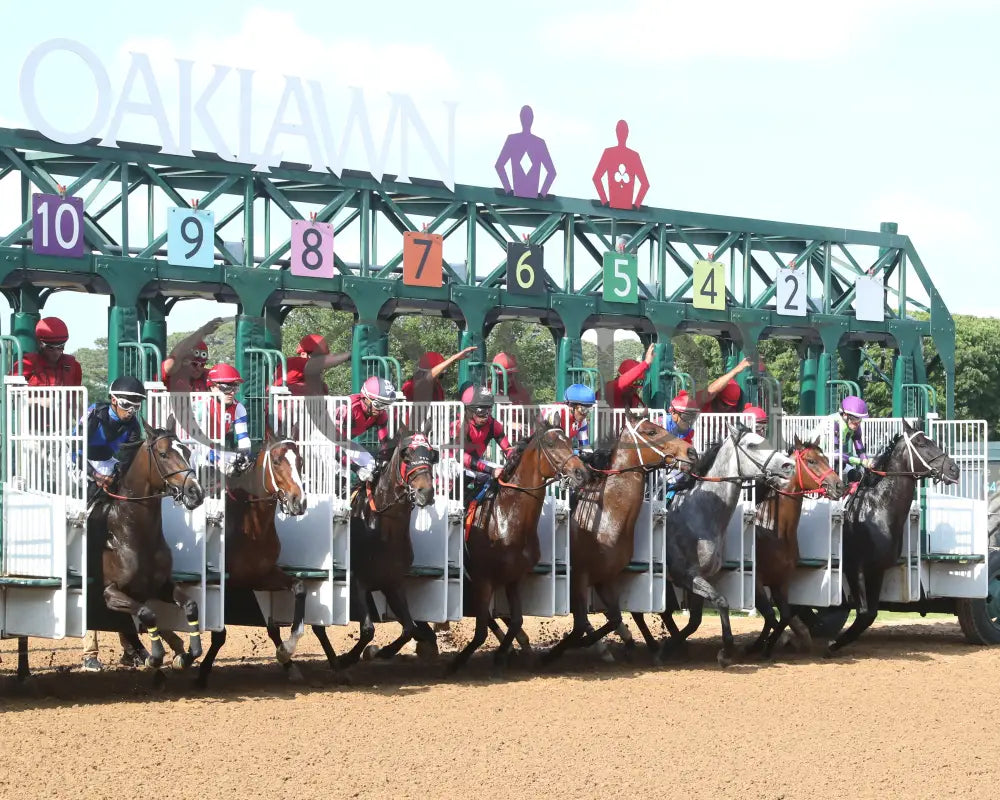 LASSIE MY GIRL - The Natural State Breeders’ Stakes - 04-27-25 - R09 - OP - Start 01 Oaklawn Park