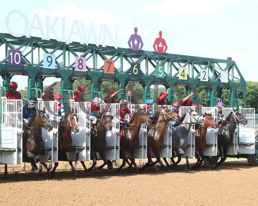 LASSIE MY GIRL - The Natural State Breeders’ Stakes - 04-27-25 - R09 - OP - Start 01 Oaklawn Park
