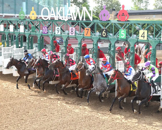LASSIE MY GIRL - The Natural State Breeders’ Stakes - 04-27-25 - R09 - OP - Start 02 Oaklawn Park