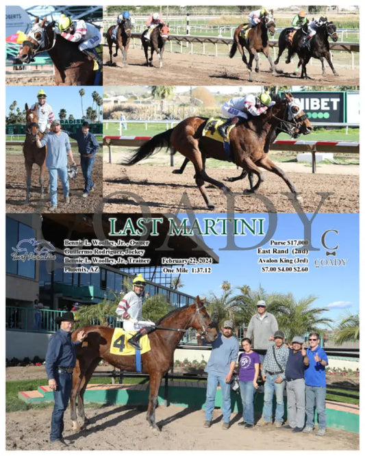 Last Martini - 02-22-24 R07 Tup Turf Paradise